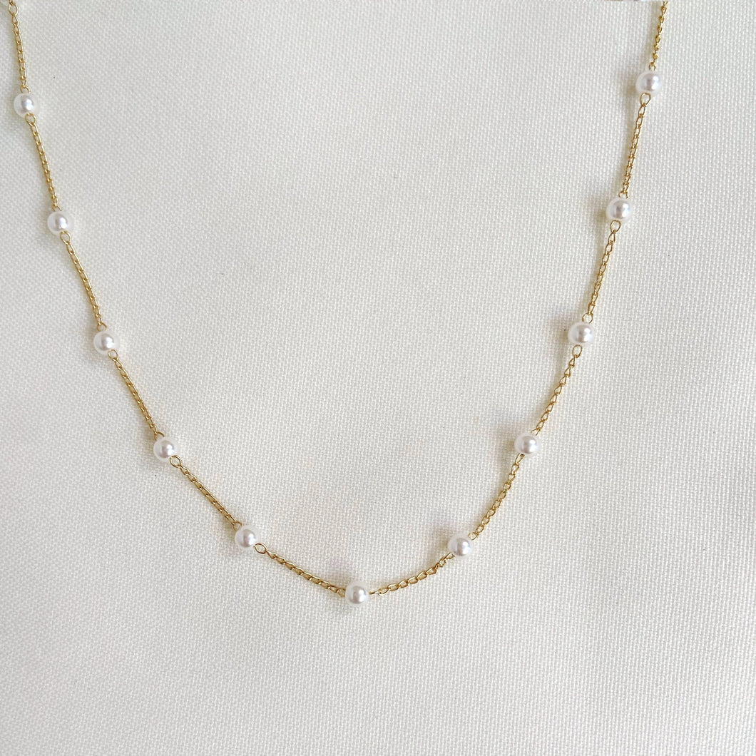 DENMAMX Collar Calexia